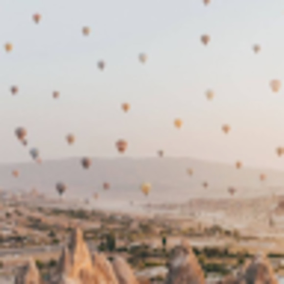 Meet your Posher, Lucy - Picture 1 of 1